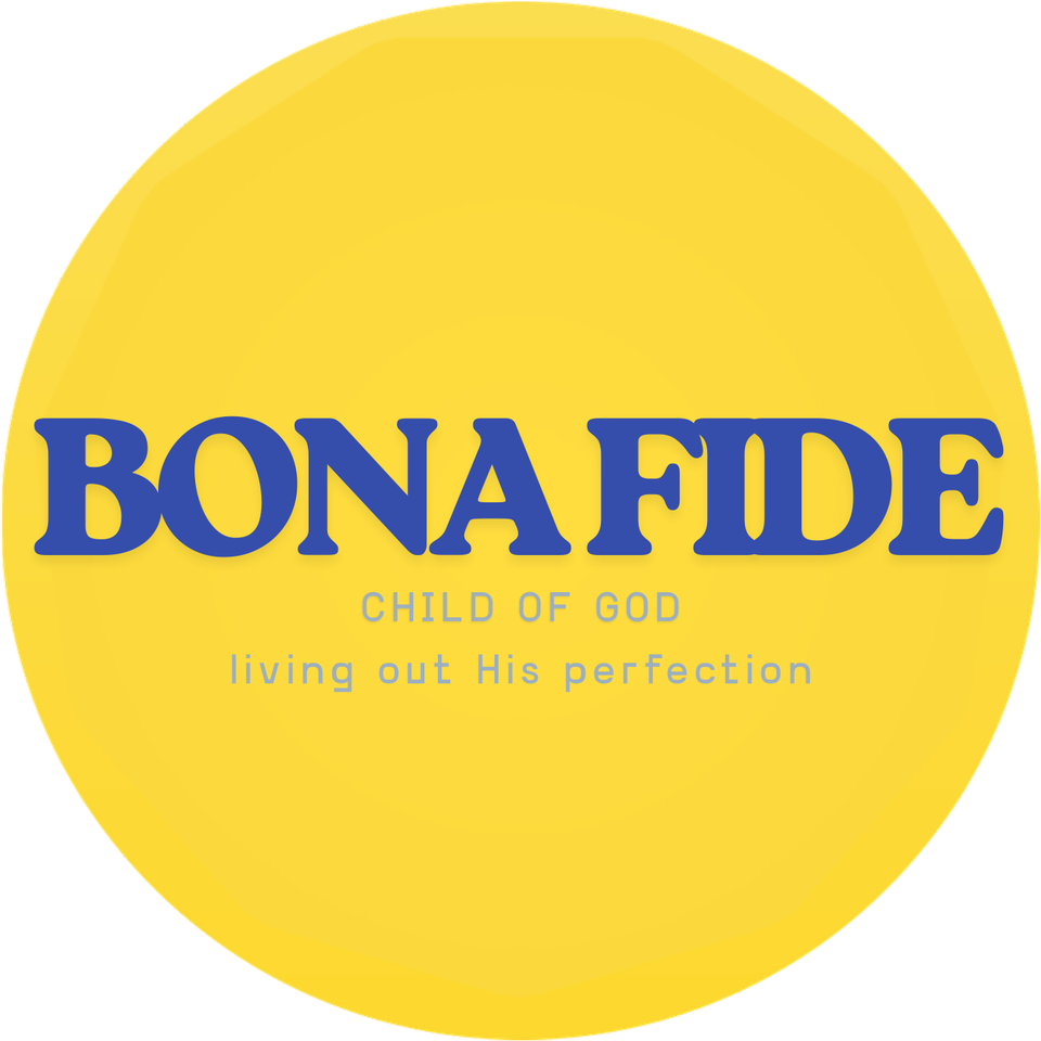 BrightBird Bona Fide licence disc holder: yellow disc reading Bona Fide, Child of God, living out His perfection